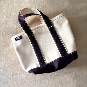 Lands End mini tote